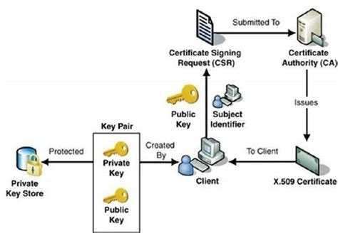 public key infrastructure certificate database